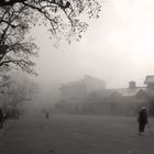 darjeeling fog