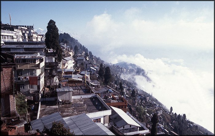 darjeeling / north india