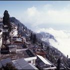 darjeeling / north india