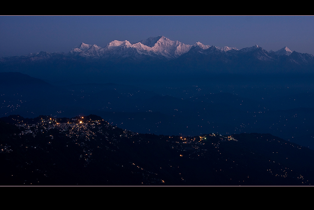 Darjeeling Stars