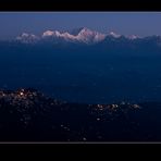 Darjeeling Stars