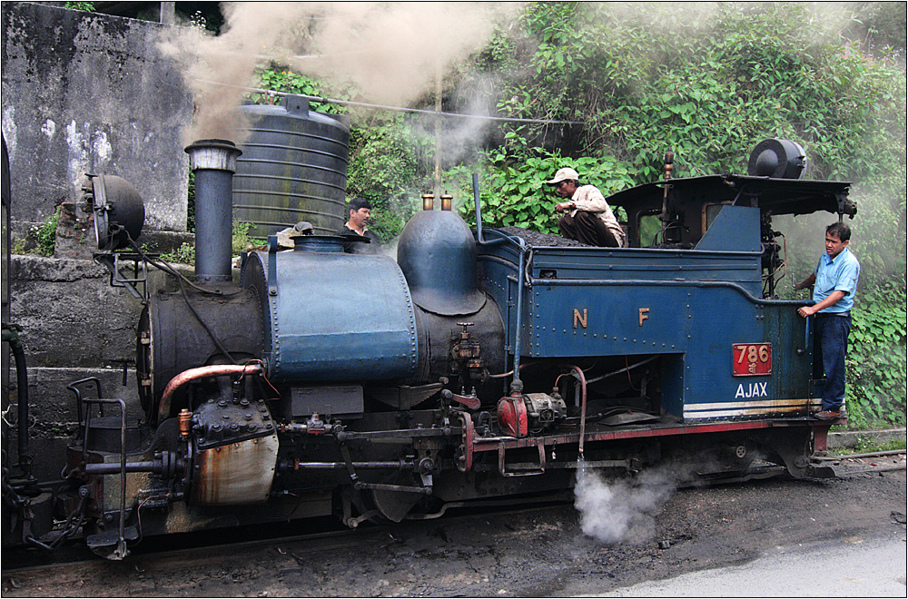 darjeeling-toy train