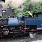 darjeeling-toy train