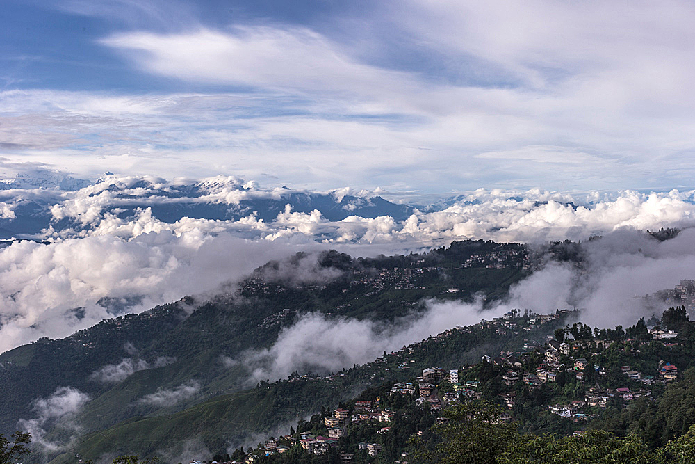 darjeeling...#1