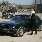 Dark 1967 Mustang 2