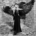 Dark Angel