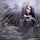 Dark Angel