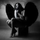 Dark Angel