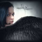 Dark Angel