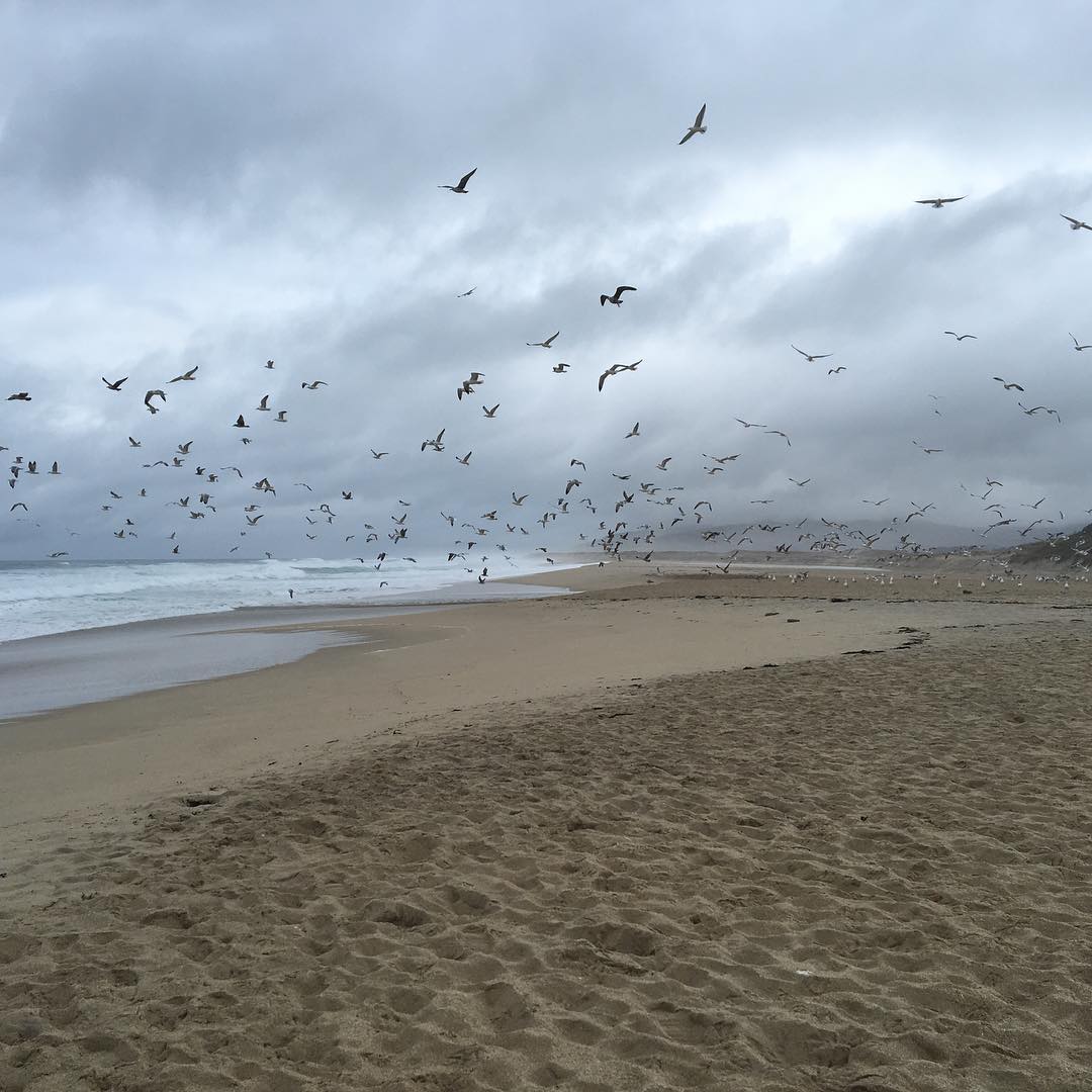 Dark Beach Atmosphere