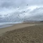 Dark Beach Atmosphere