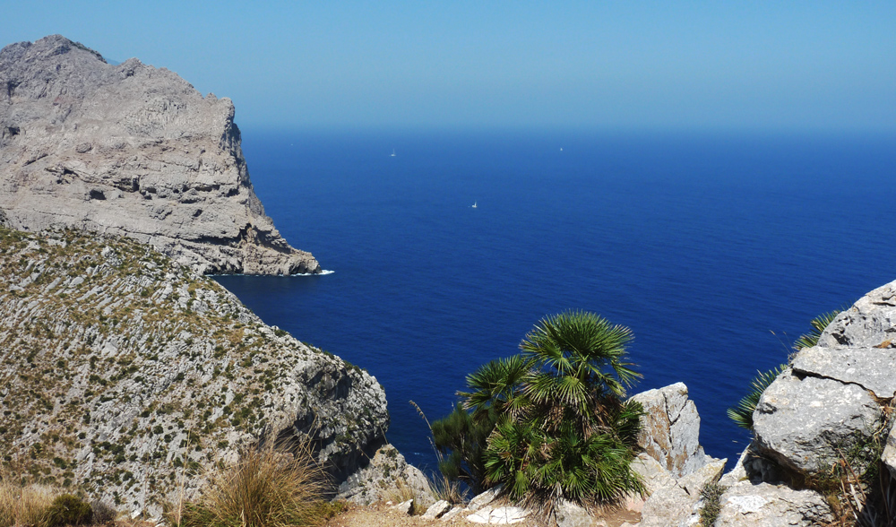 DARK BLUE VON CAP FORMENTOR