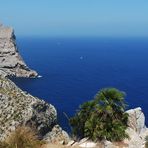 DARK BLUE VON CAP FORMENTOR