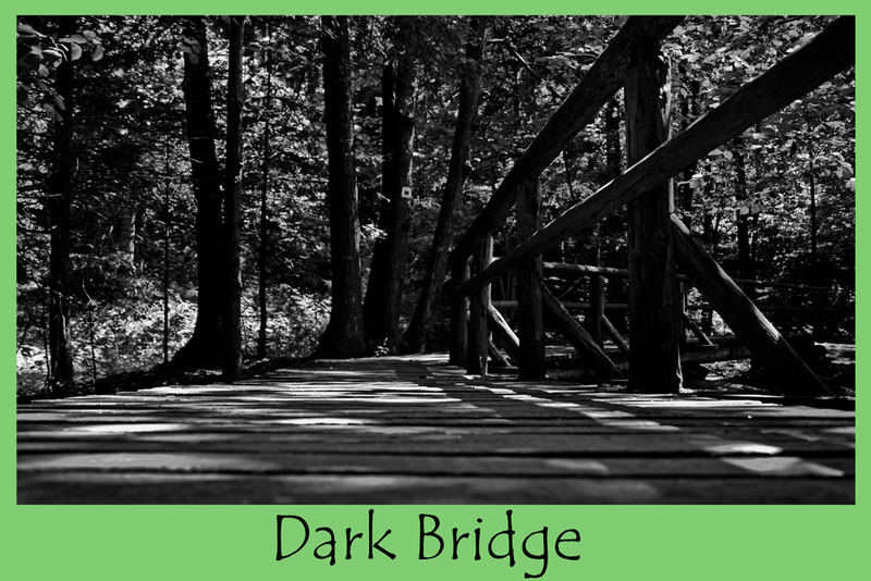 Dark Bridge