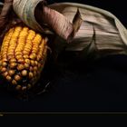 dark corn Part II