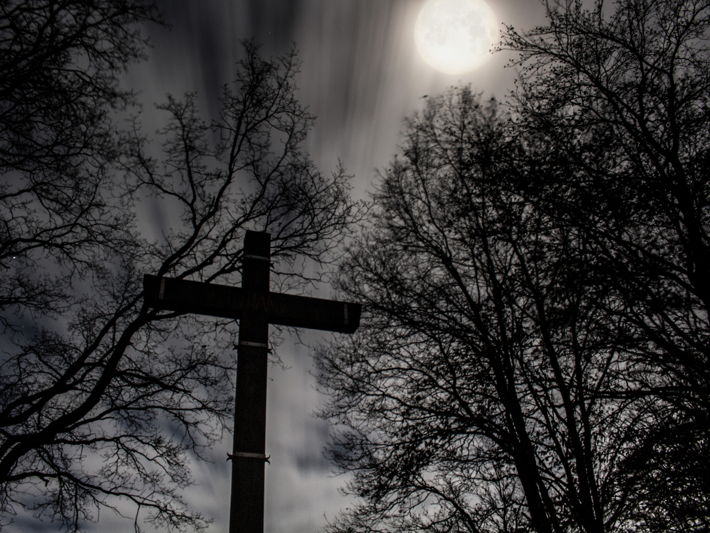 Dark Cross