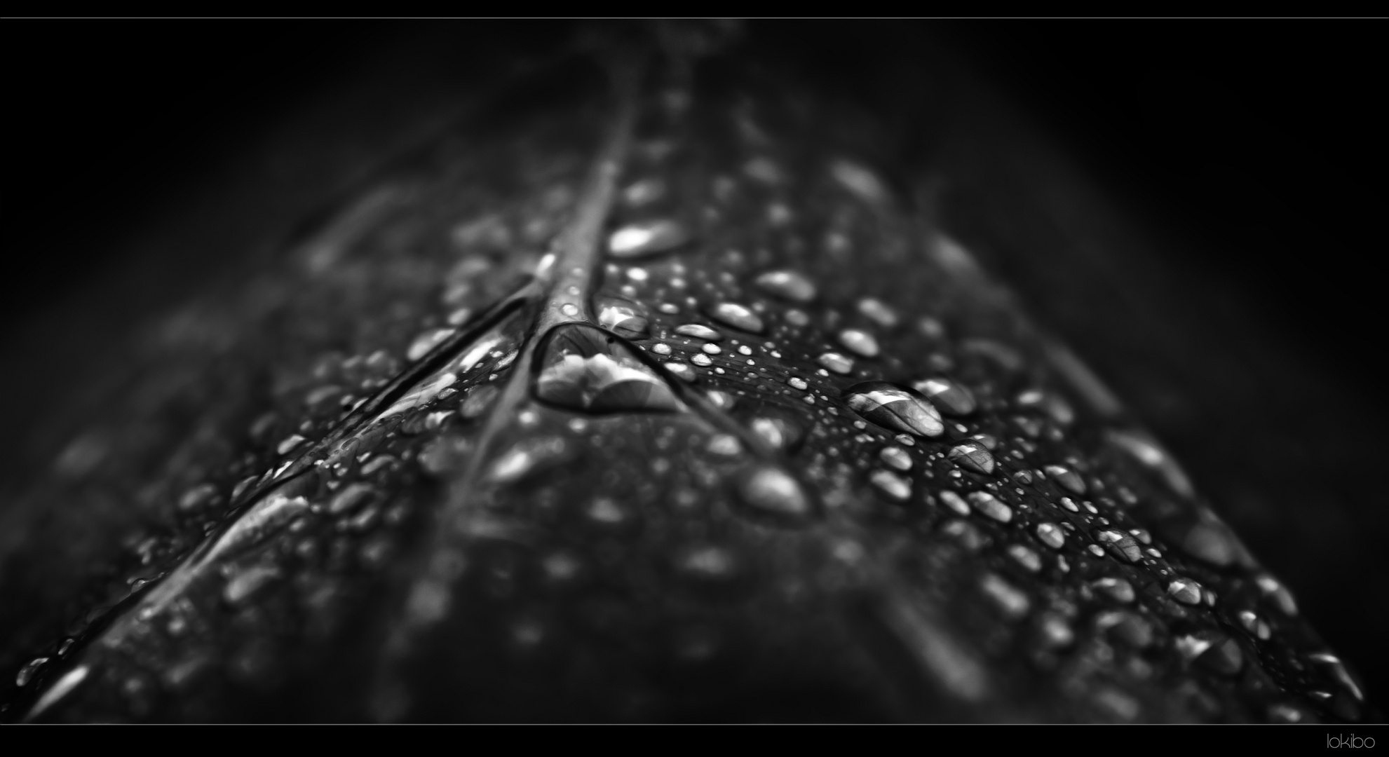 dark drops