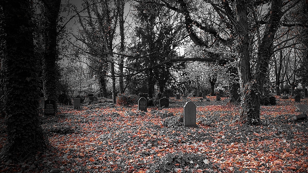 Dark Graveyard