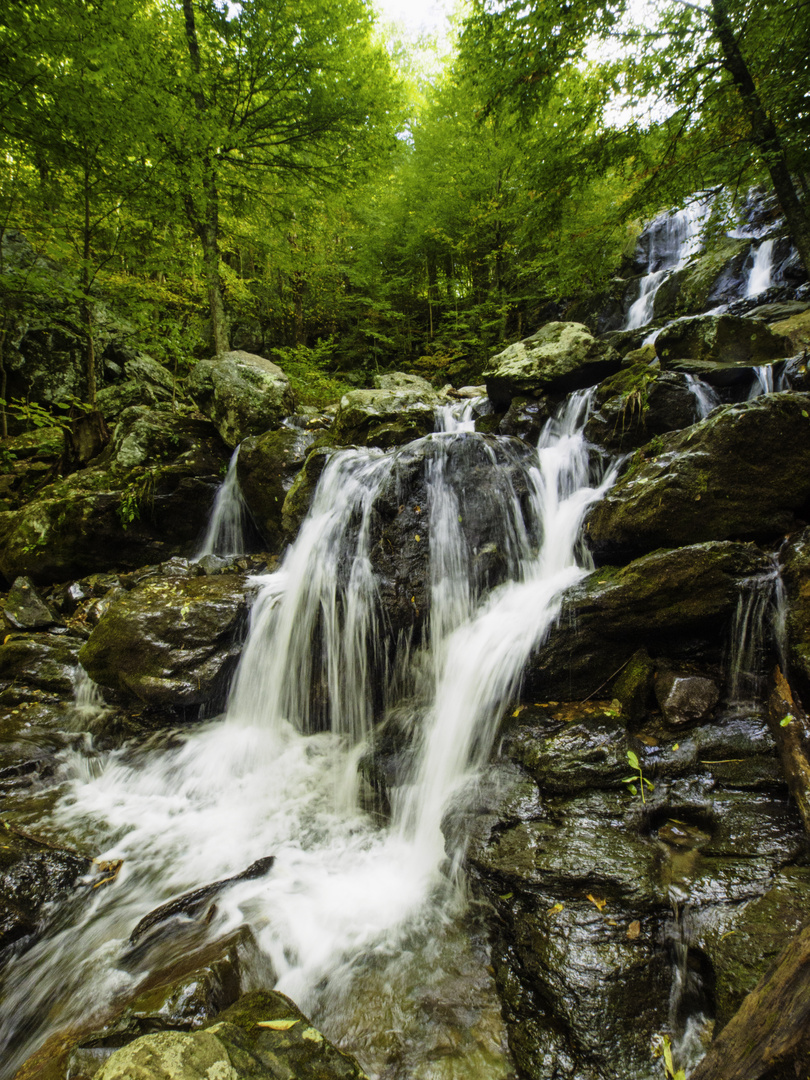 Dark Hollow Falls