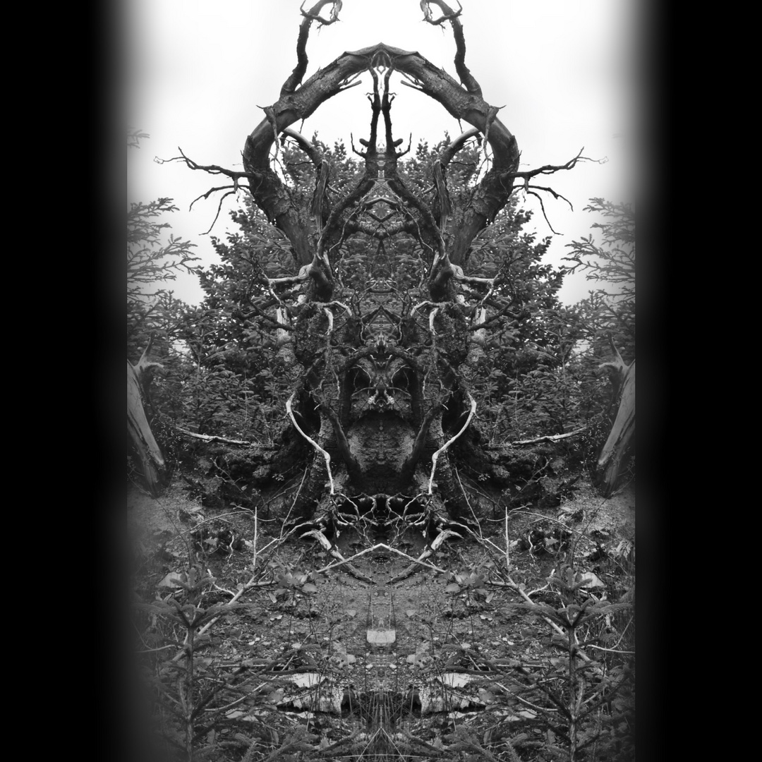 Dark Horse Lord Foto Bild Bearbeitungs Techniken Digitale Gemalde Fotos Bilder Auf Fotocommunity