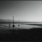 Monochrom 