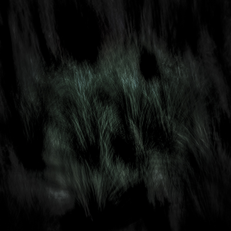 dark landscapes #380