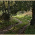 dark lane lane near warden