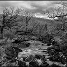 Dark River - Ring of Kerry