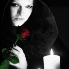 dark rose