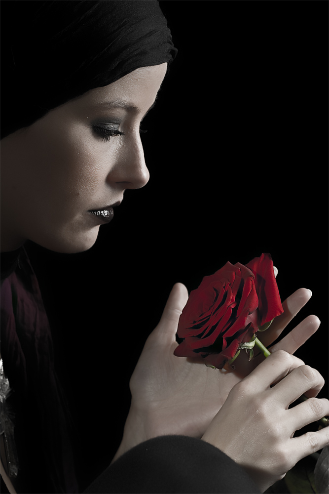 dark rose II