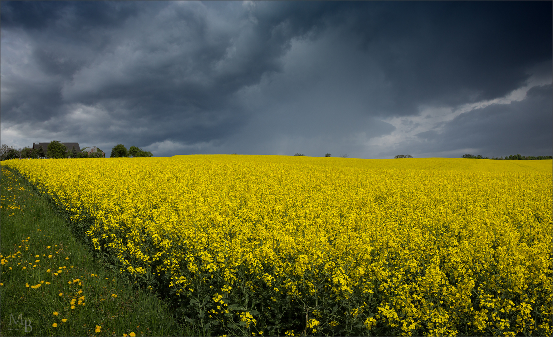 Dark Skies