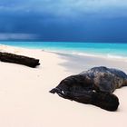 Dark Sky on Bamboo Island