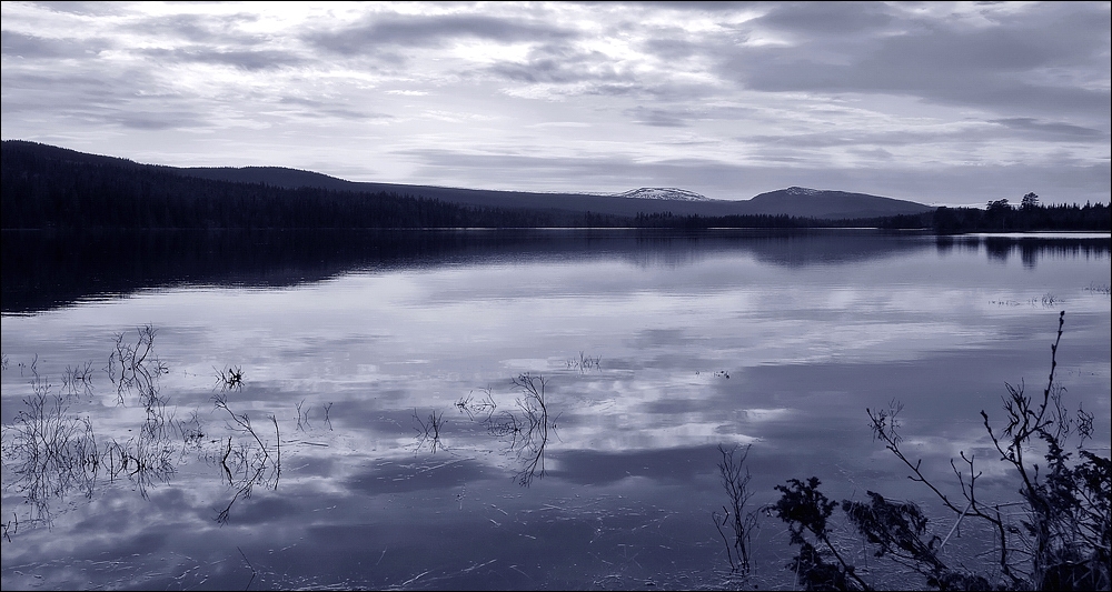 Dark Sweden