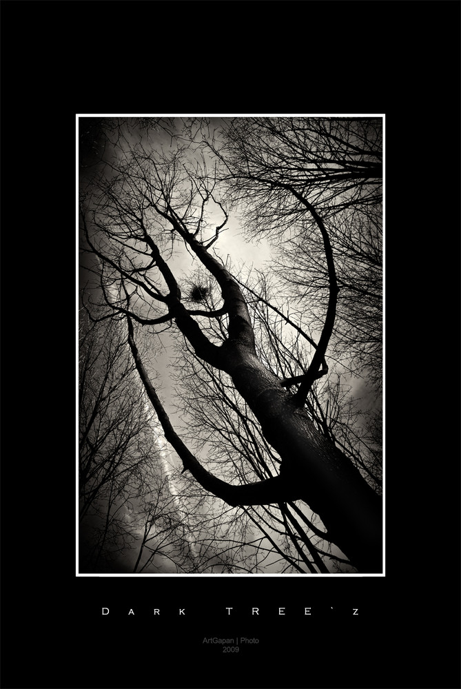 Dark TREE`z