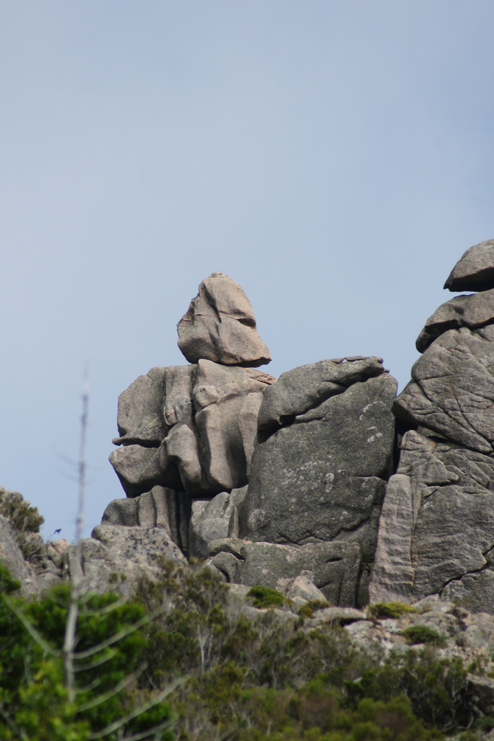 Dark Vador ....en Corse