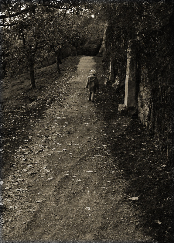 Dark Walk im Herbst