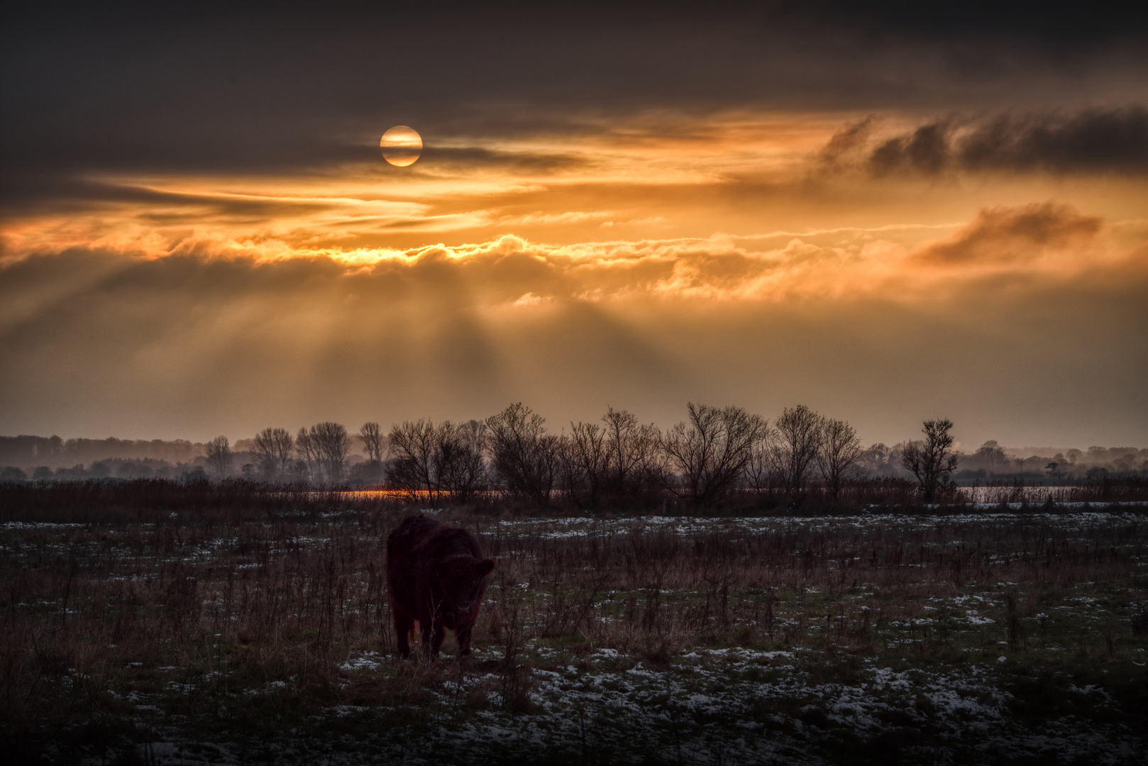 Dark Winterland