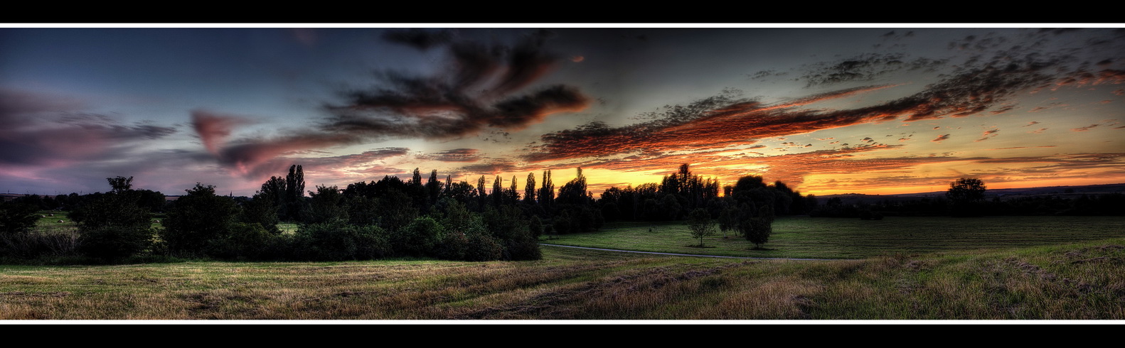 DARK WOOD - PANORAMA (( HDRI ))