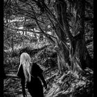 dark woods.... ... and alone .....