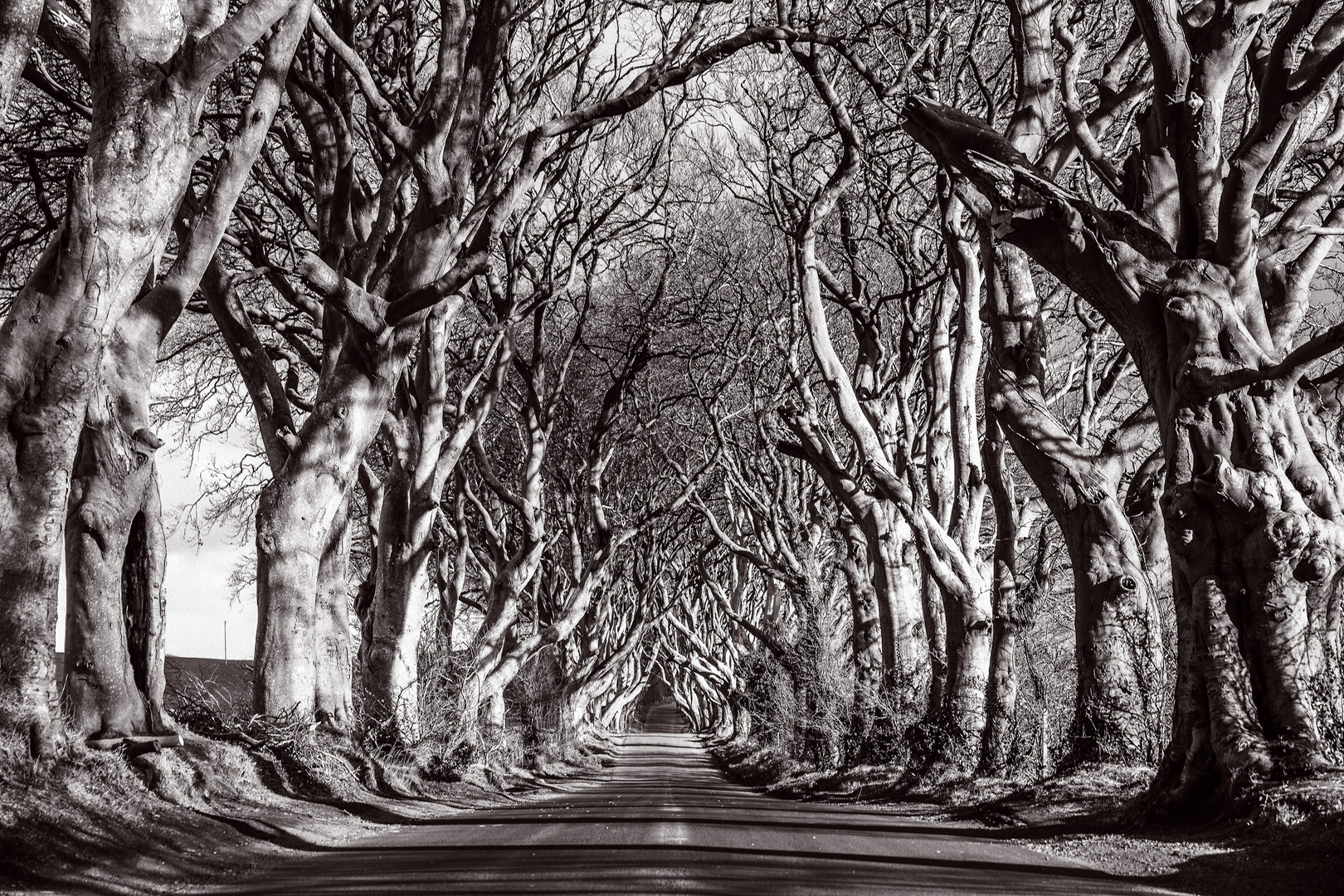 DarkHedges