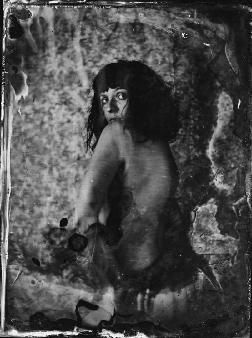 darkshines  (wetplate)