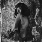 darkshines  (wetplate)