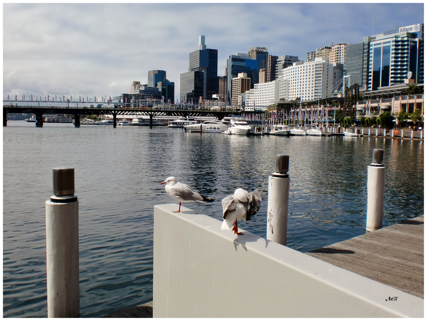 Darling Harbour