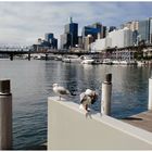 Darling Harbour