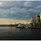 Darling Harbour Sydney