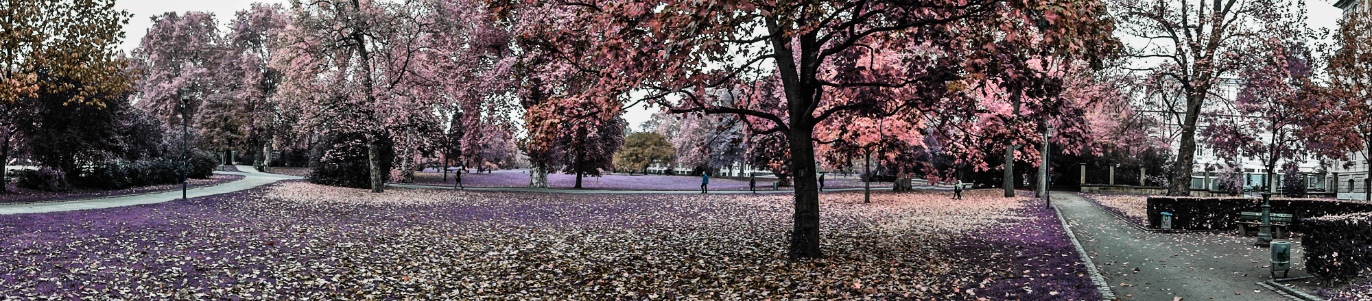 Darmstadt Herrngarten