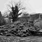 Darmstadt Stadtmauer