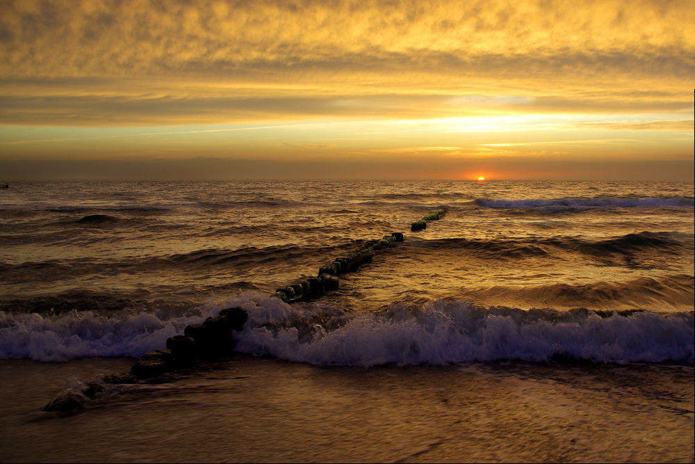 Darß - Abendsonne