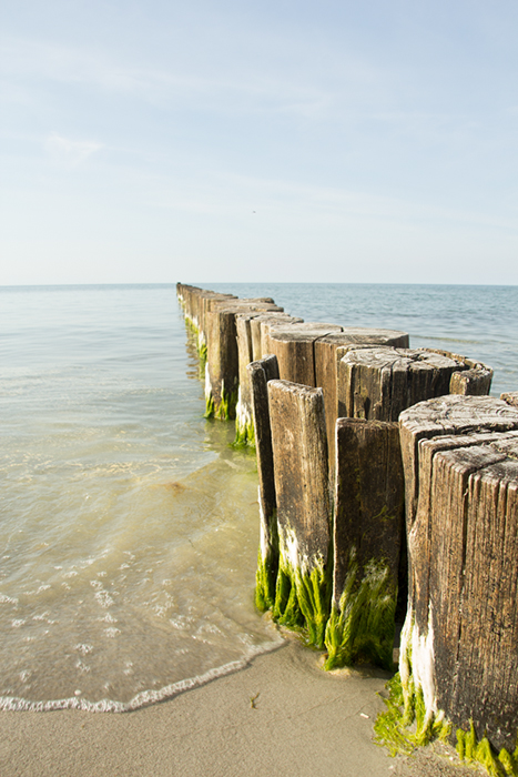 Darß, Buhne in Zingst