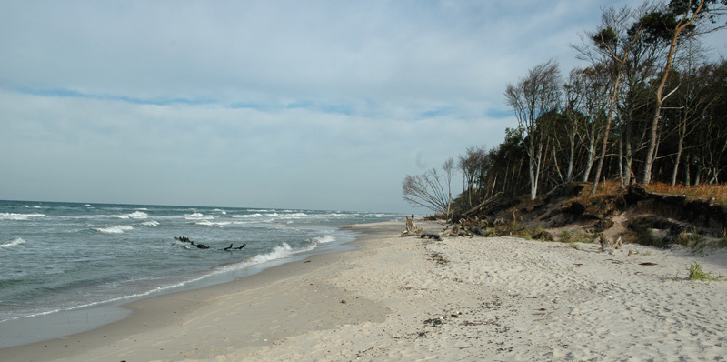 Darß-der Weststrand